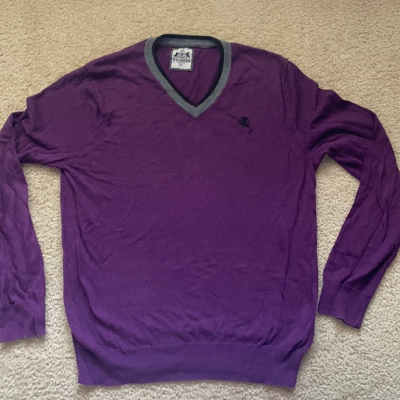 Express Other - Purple express sweater